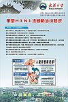 甲型Ｈ１Ｎ１流感防治小知识系列之二