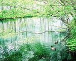湖泊风景