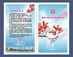 妇联折页