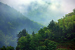赤木山云山雾海