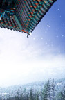 北国雪景