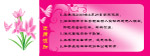 卡片
