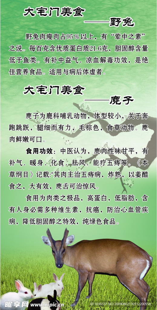 美食之野兔和麂子
