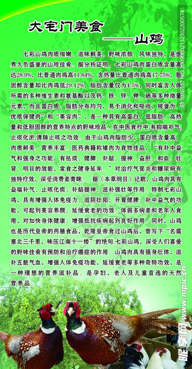 美食之山鸡