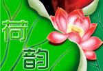 荷韵