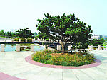 城南生态苑