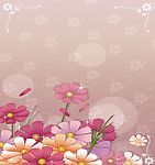 花开世界