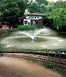 风景