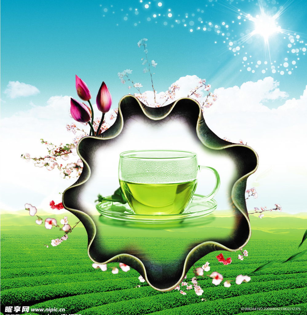 品茶