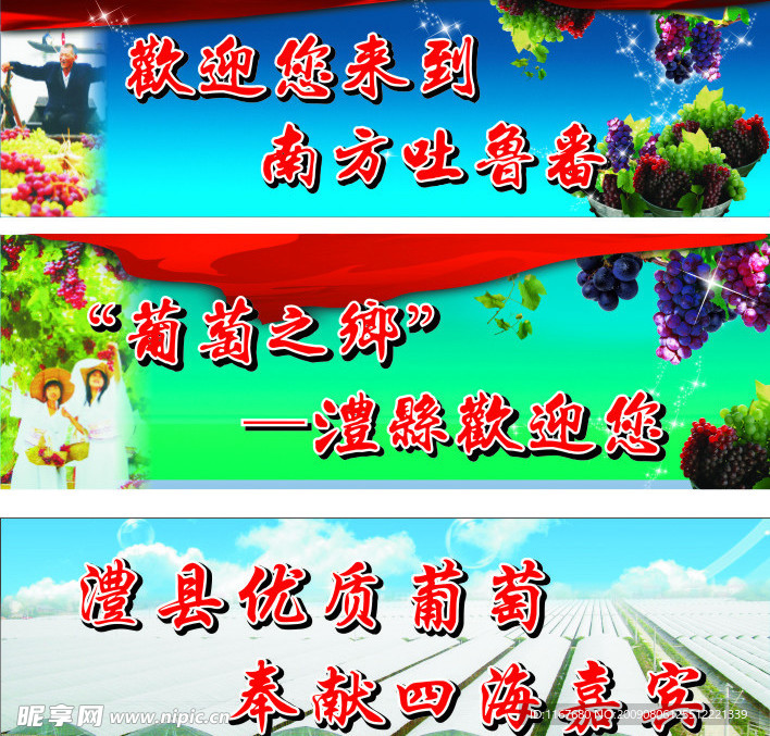 葡萄节广告位