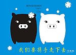 黑白猪的爱情
