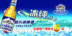 冰纯 哈尔滨