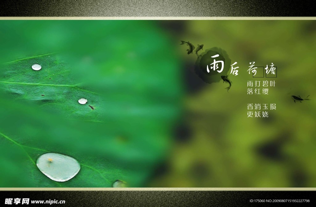荷塘