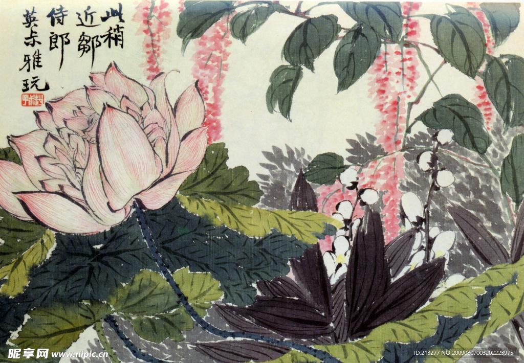 花卉之四