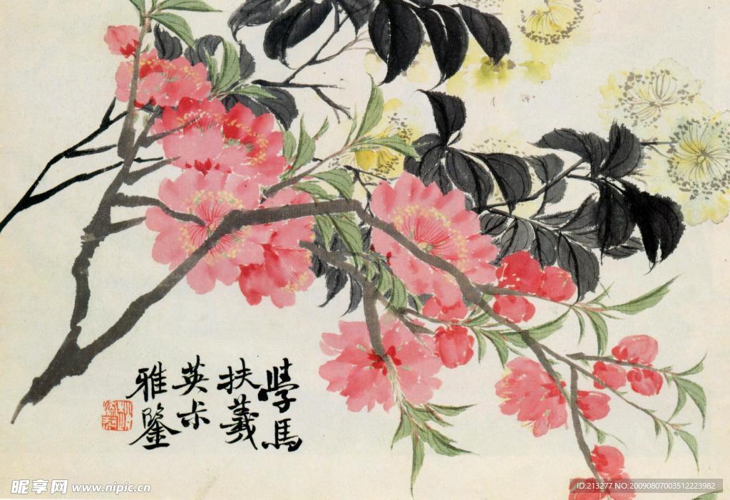 花卉之五