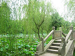 岳阳团湖公园