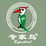 专家鸟标志