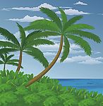 海滩夏景