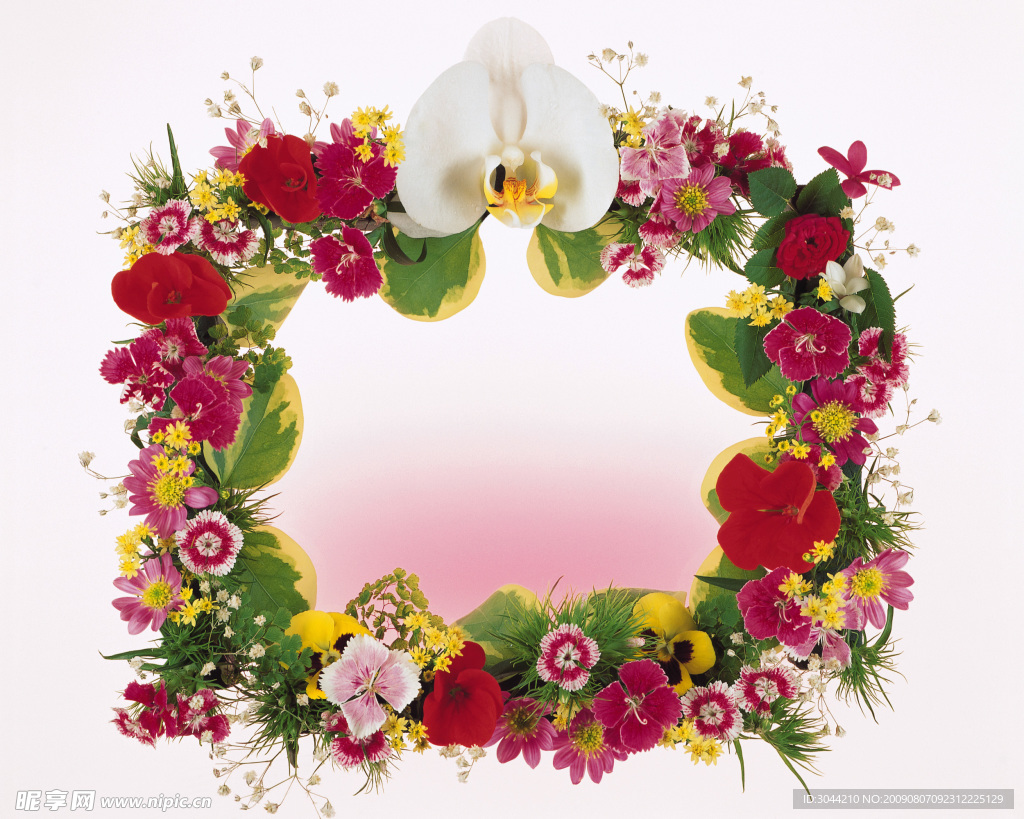 边框 花边
