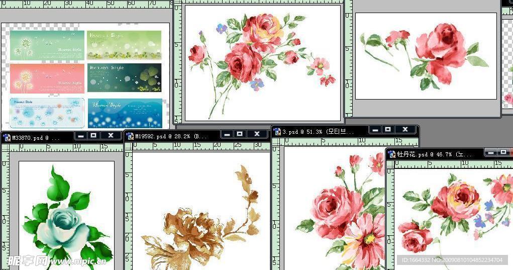 牡丹花