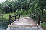 小桥树林