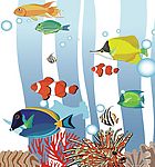 海洋之家4