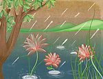池塘雨景