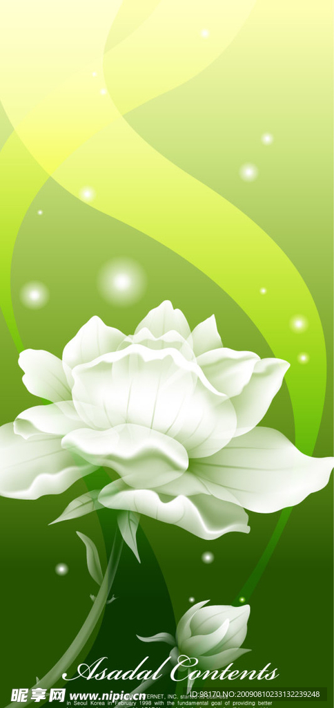 梦幻花纹