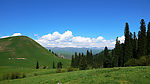 林野草地美景