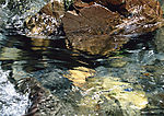 溪水 瀑布 涌泉 流水 水纹