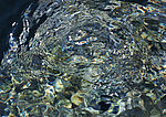 溪水 瀑布 涌泉 流水 水纹