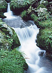 溪水 瀑布 涌泉 流水 山泉