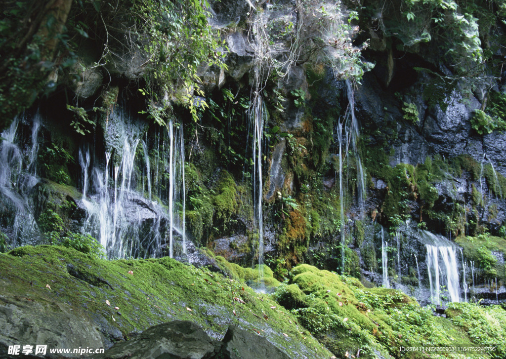 溪水 瀑布 涌泉 流水 山泉