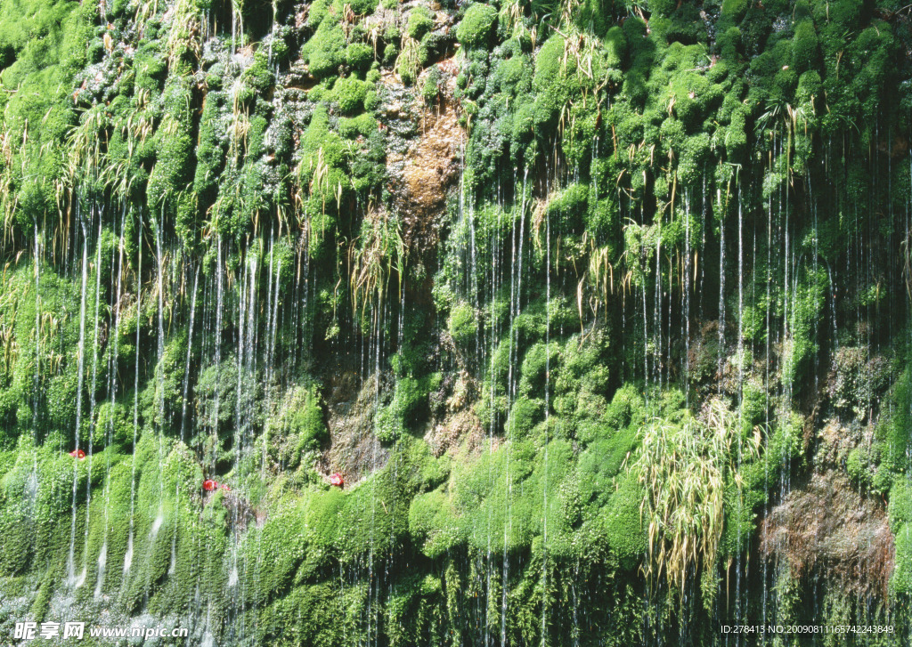 溪水 瀑布 涌泉 流水 山泉