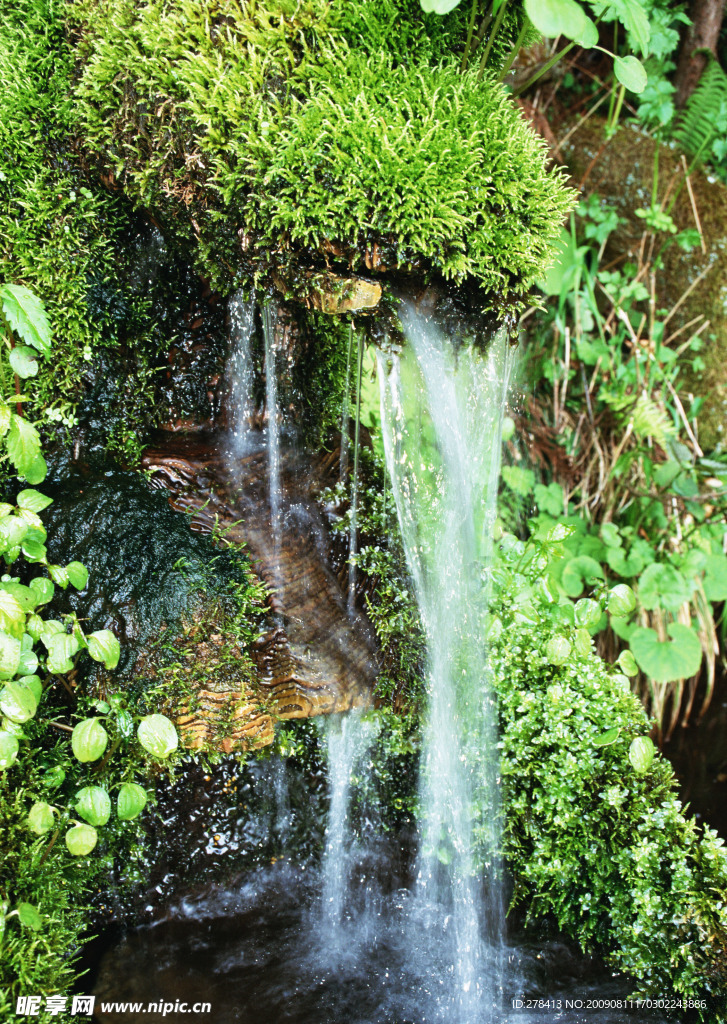 溪水 瀑布 涌泉 流水 山泉