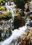 溪水 瀑布 涌泉 流水 山泉