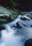 溪水 瀑布 涌泉 流水 山泉