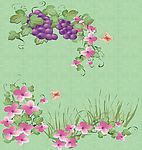 菩提