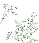 乡恋