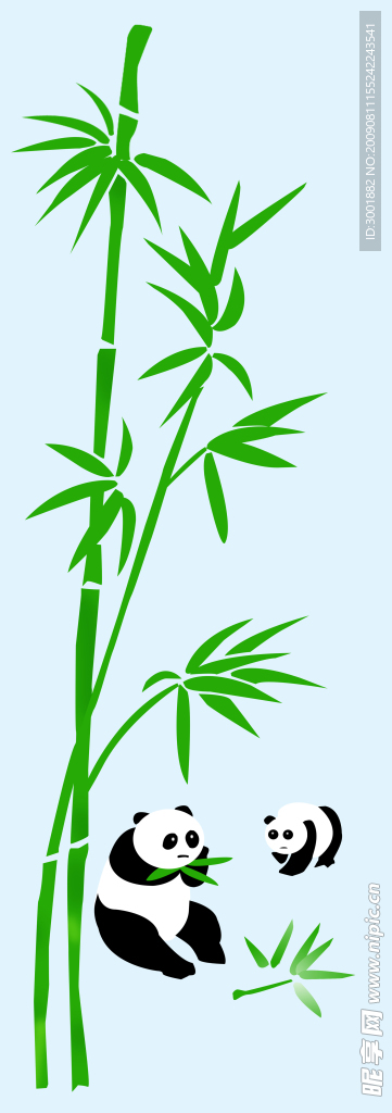 小熊猫
