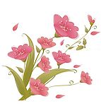 花意随心