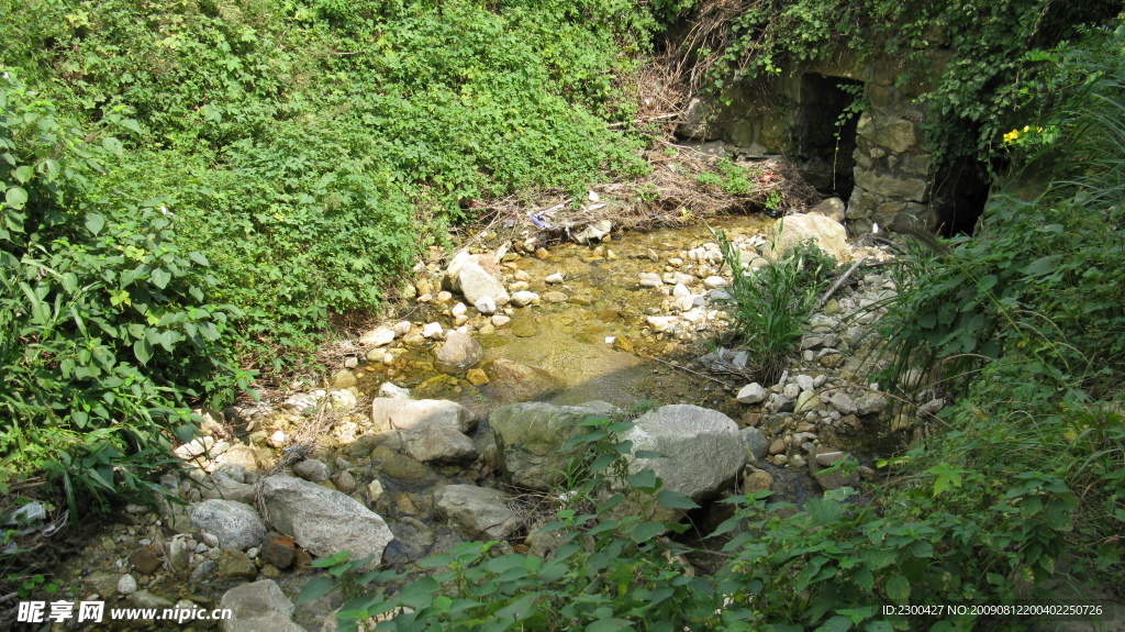风景