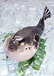 海鲜