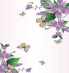 蝶花情缘