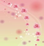 花海飘逸