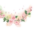 梅香时节