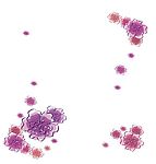 花舞