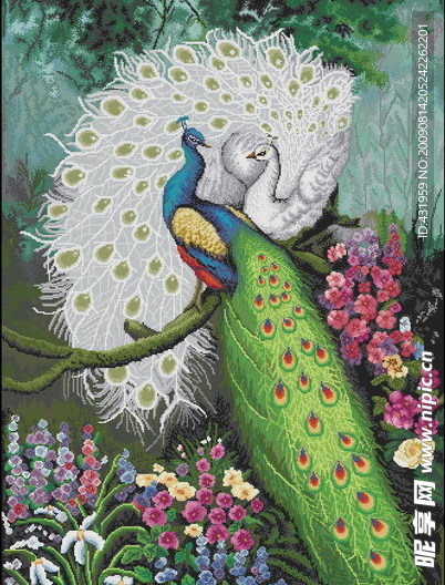 十字绣孔雀图纸