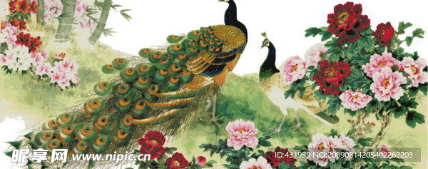 十字绣孔雀图纸