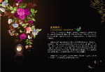 画册简介设计